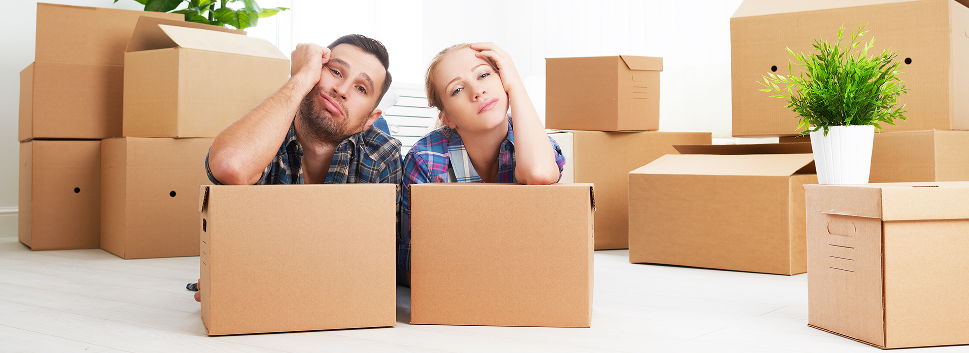 Movers Kentish Town